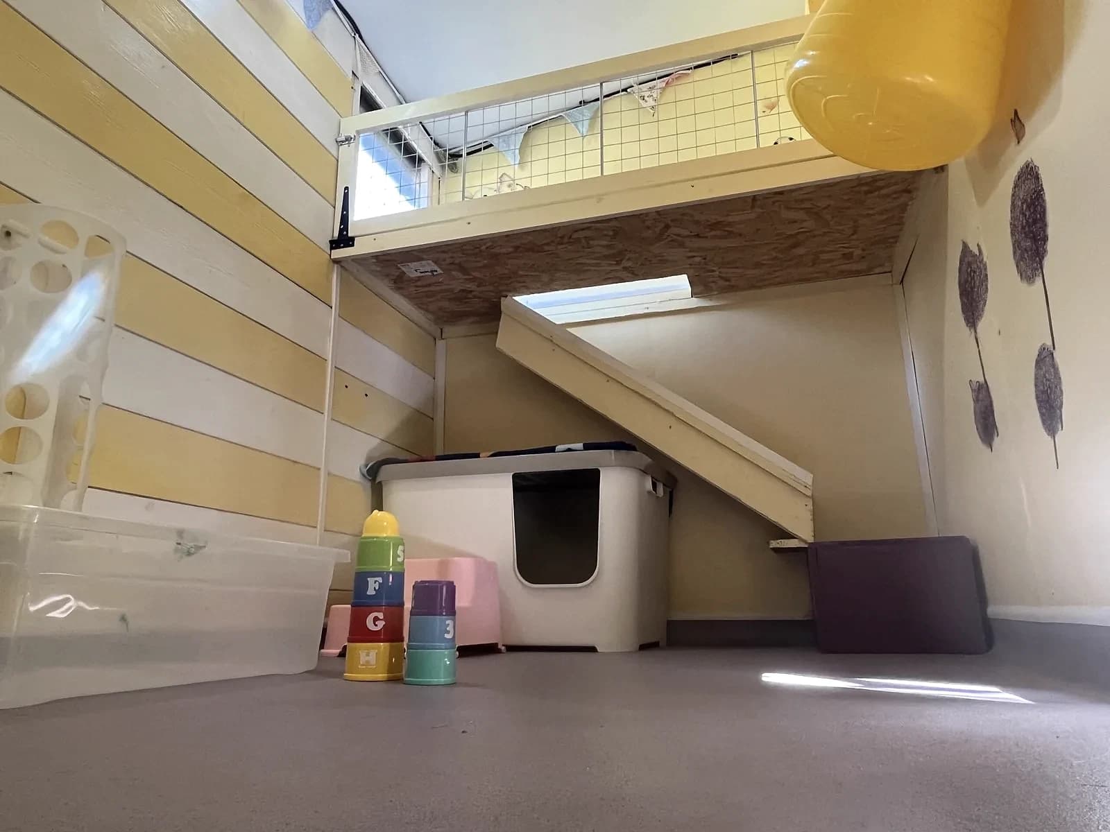 Lemon Tree Lodge two-level interior with a ramp and rabbit hideaway