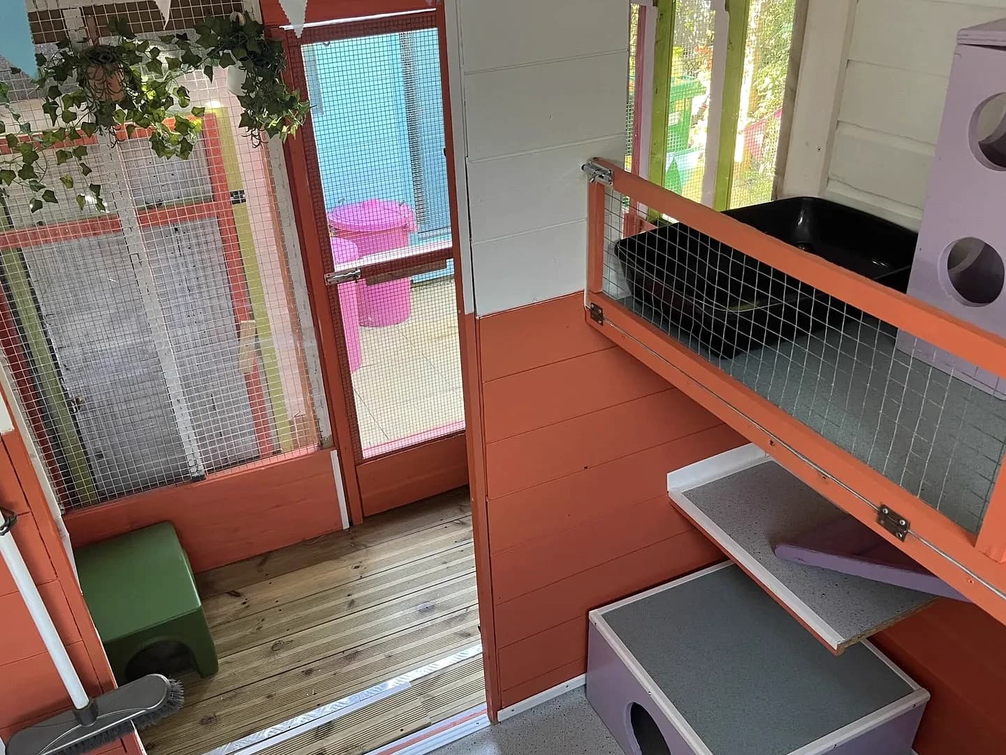 Orange Tree Lodge two-level interior with steps and rabbit ramp