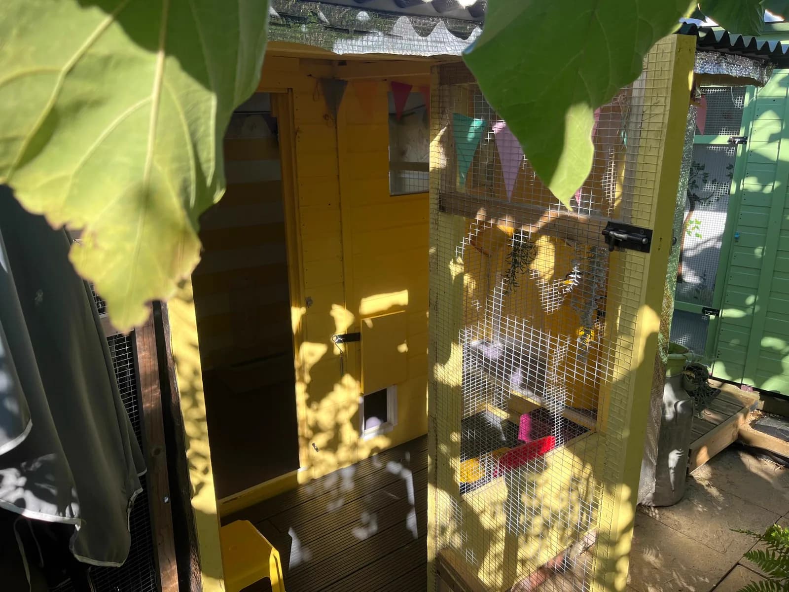 Lemon Tree Lodge and secure aviary run beneath the garden canopy