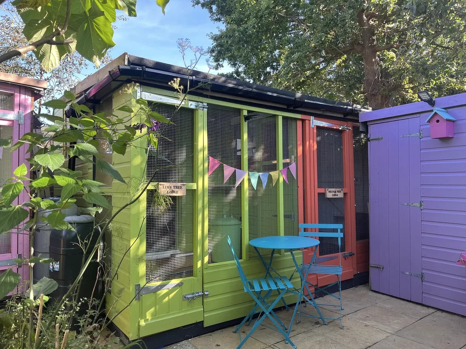 Lime Tree and Orange Tree lodges beneath the garden canopy at Applewood