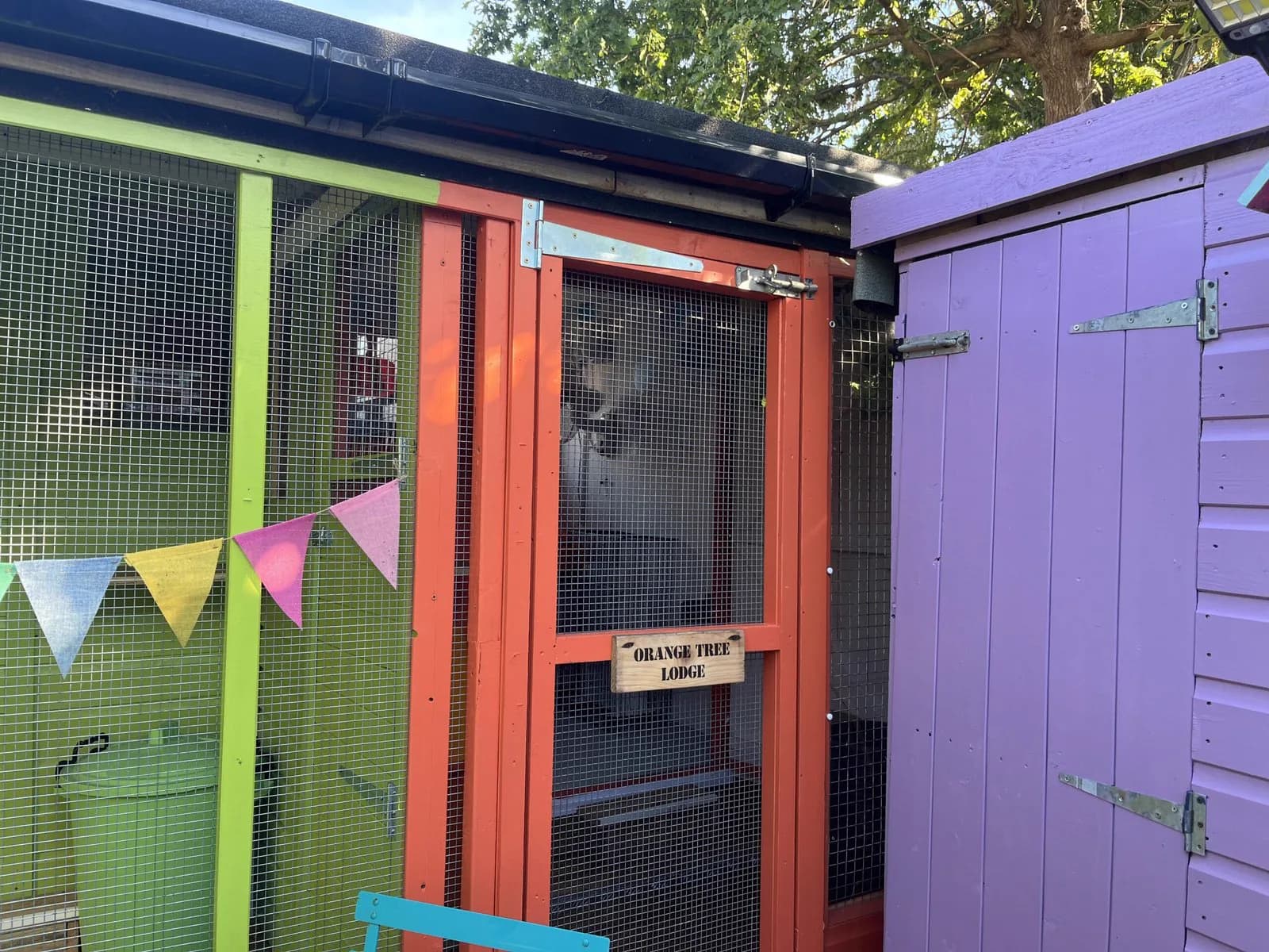 Secure covered run attached to Orange Tree Lodge